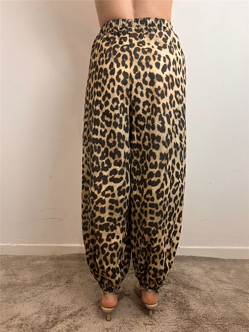 Panta Baloon - Haveone cod. PVS_Q533 main:sha1=7daac65c0899398542d0542dc263b89762b5a069