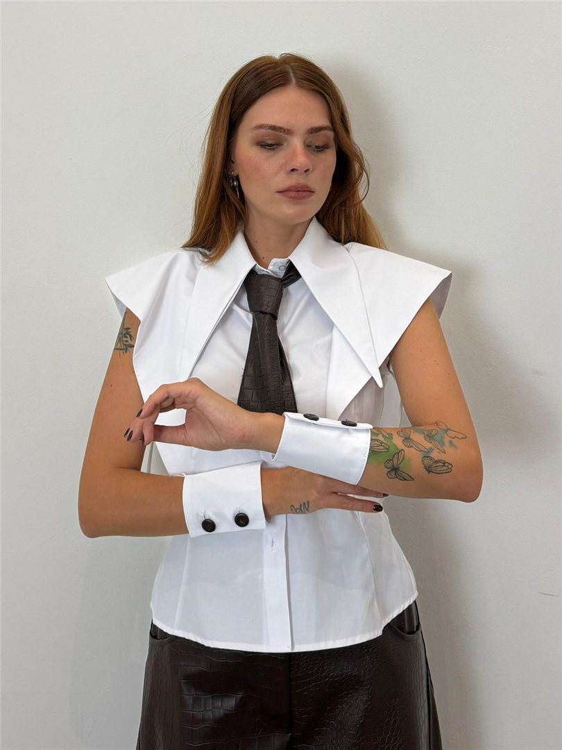 Camicia Cravatta - Haveone cod. CVS_R049 main:sha1=e8d23c2c0deeee766daad568bae5087a1858329c